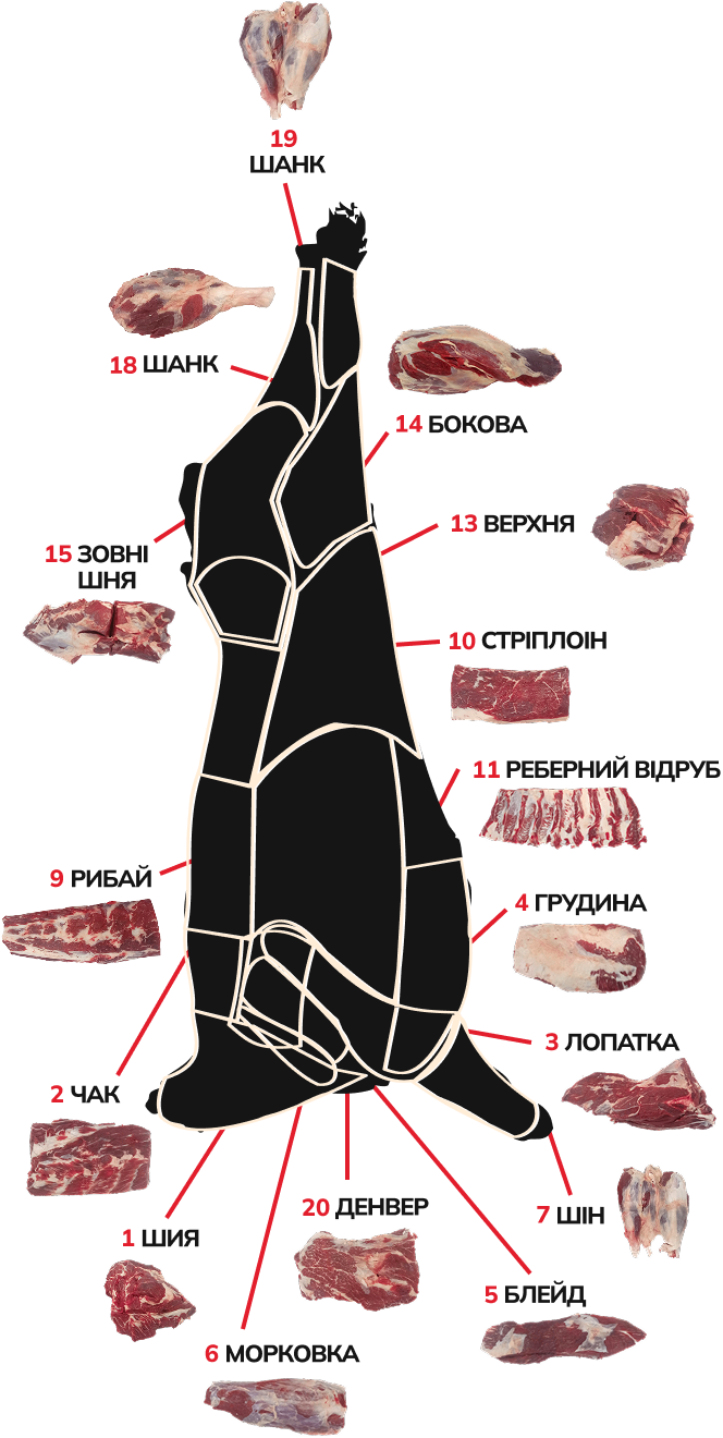 22 шматки
